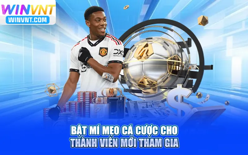 Kèo thẻ là gì - Bật mí mẹo cá cược cho thành viên mới tham gia