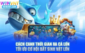 Cách Canh Thời Gian Ra Cá Lớn - Tối Ưu Cơ Hội Nhận Thưởng