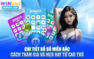 Chi Tiết Xổ Số Miền Bắc: Cách Tham Gia Và Mẹo Hay Từ Cao Thủ